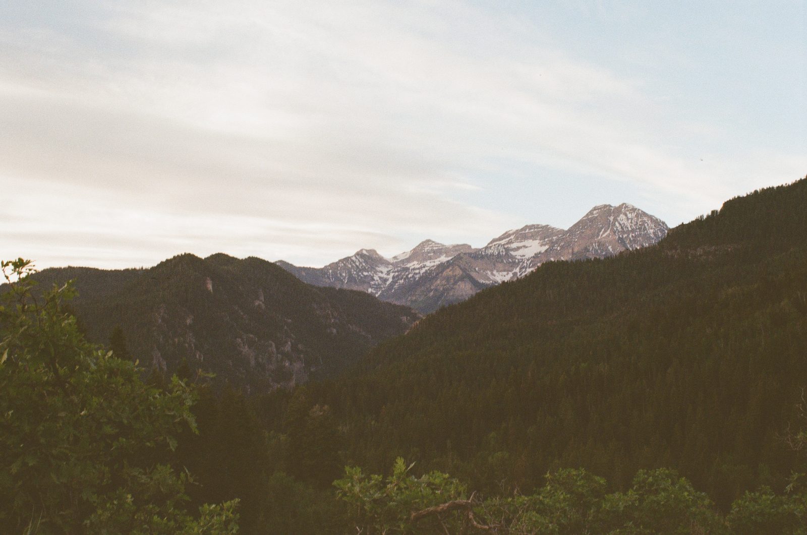 Blue Mountain Range
